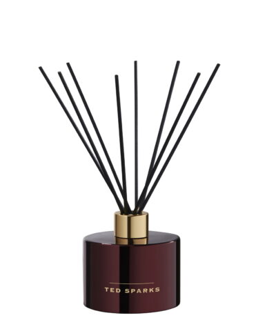 TED SPARKS BIRCH & PATCHOULI namų kvapas