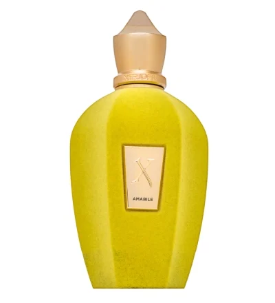 Xerjoff Amabile EDP 100 ml